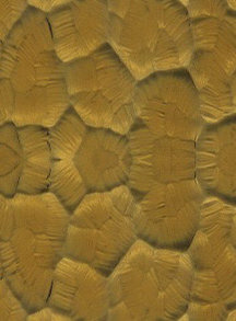 Атлантик желтый