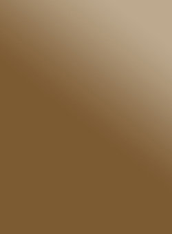 Стекло-бронза