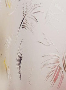 Шале бесцветное