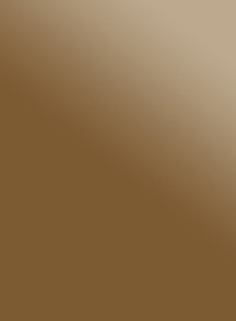 Стекло-бронза